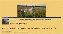 Desktop Screenshot of bulletgolden.ecom.net.pl